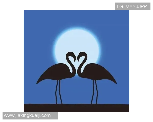 探索高峰与内心的对话：陈秀英的攀岩人生与心灵旅程