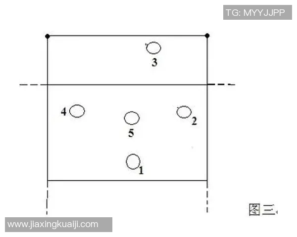 成都排球队的战术解析与控制能力深度剖析