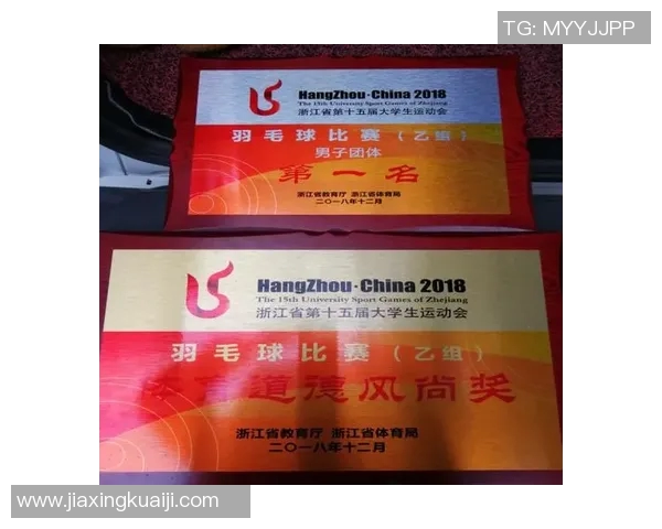 羽毛球比赛经验排行榜揭晓北京羽毛球队荣登第一名殊荣