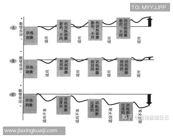 陈军深度解析羽毛球技巧与心得分享助你提升竞技水平 陈军深度解析羽毛球技巧与心得分享助你提升竞技水平